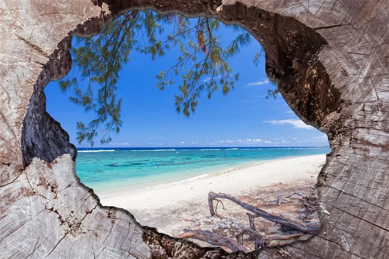 La Réunion zum Kennenlernen @Unclesam/adobestock